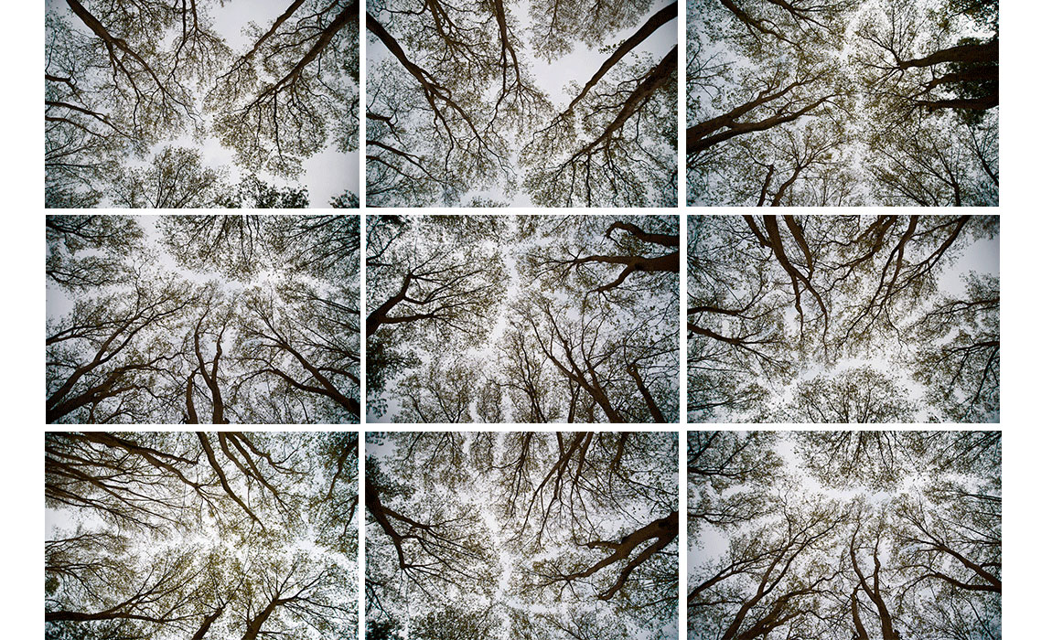 Entre o Céu e a Terra 13.jpg