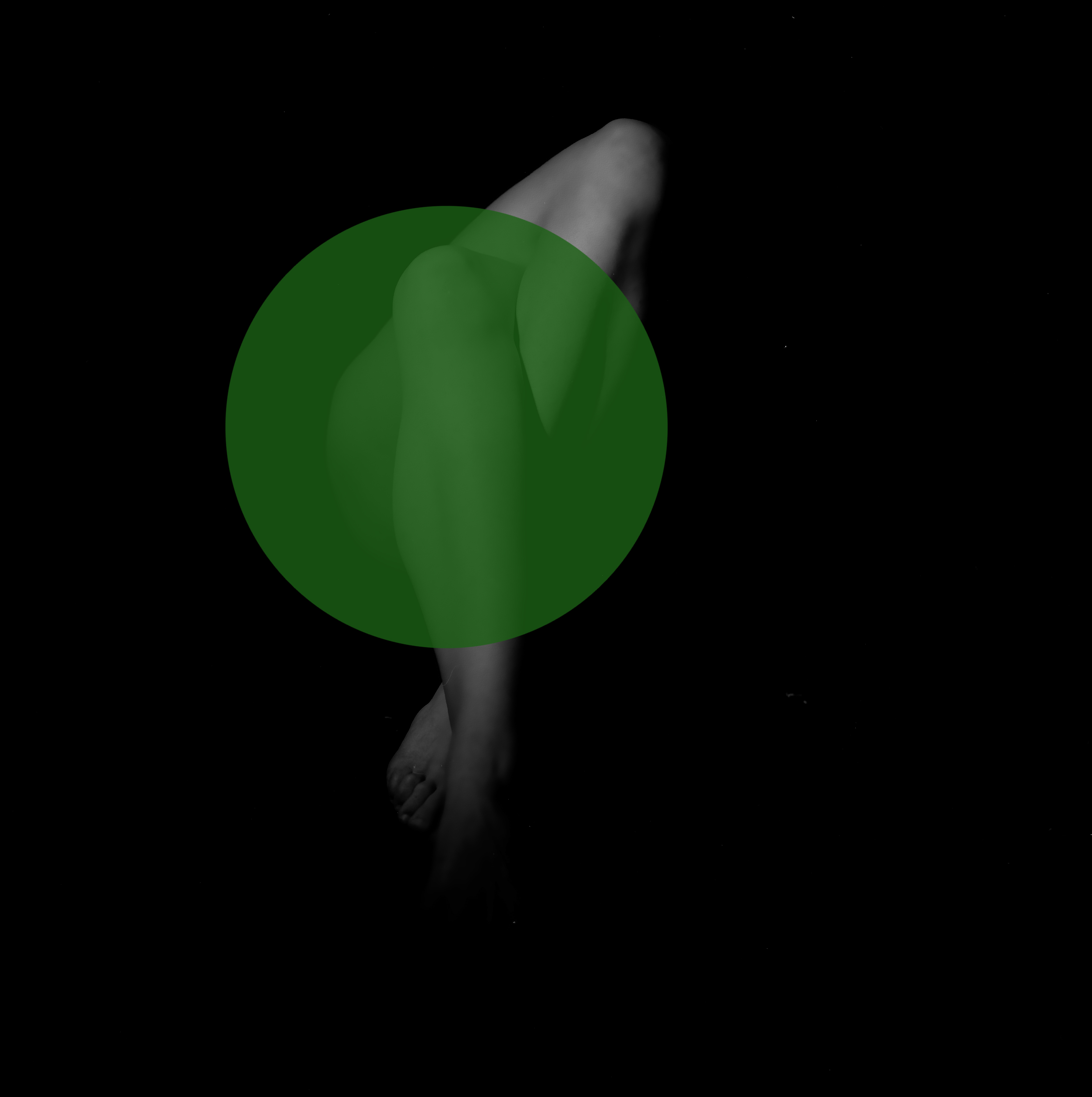 Transposition alvo.jpg